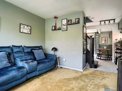 Picture 7